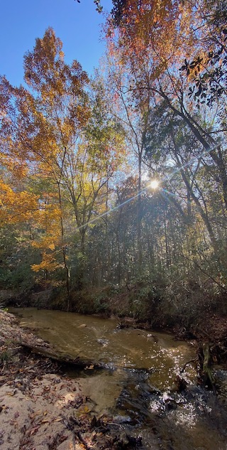 The area of beautiful and environmentally sensitive Blounts Creek in DeFuniak Springs were the racetrack will destroy the environment.