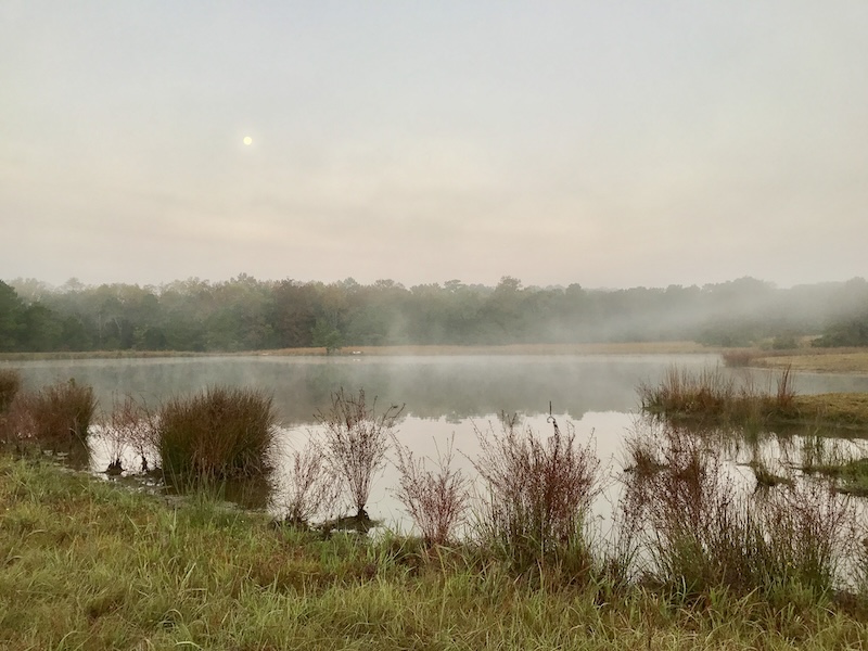 Lake Fog Sunrise copy A serene lake in the early morning fog in the Alaqua neighborhood of DeFuniak Springs where a private racetrack, ECMC, is proposed.