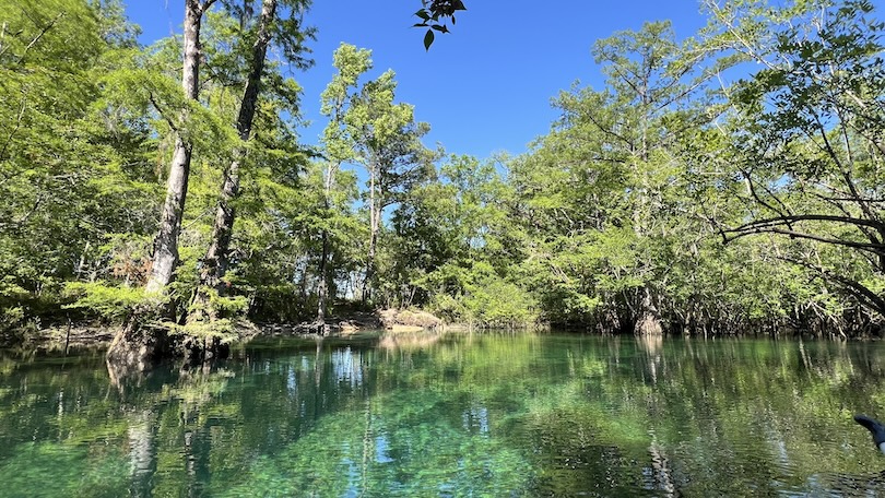 A beautiful clear spring in along the Emerald Coast in Walton County.