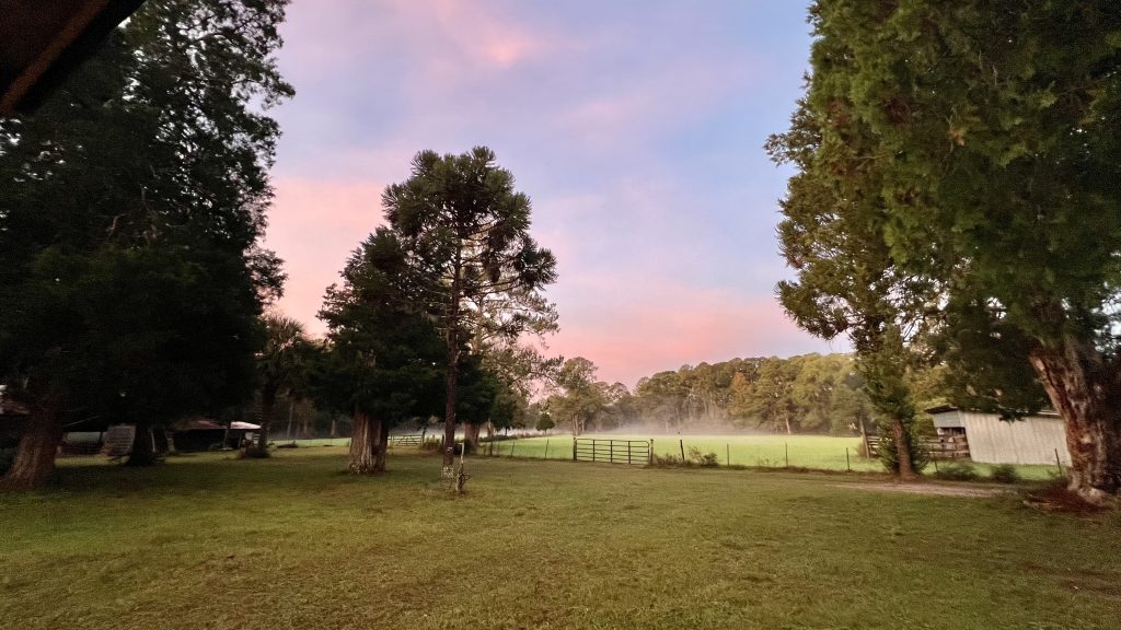 Farmland in a rural neighborhood next to the proposed Emerald Coast Motor Club private racetrack in DeFuniak Springs, FL