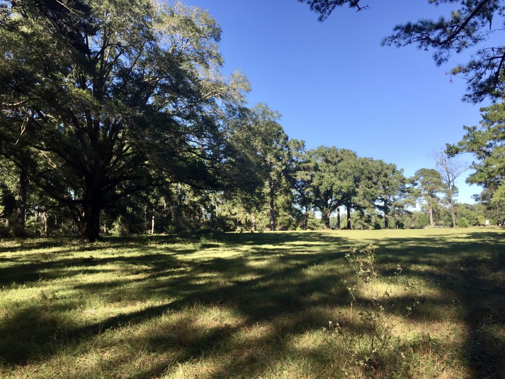 Nearby rural property where Emerald Coast Motor Club is being proposed in Walton County.